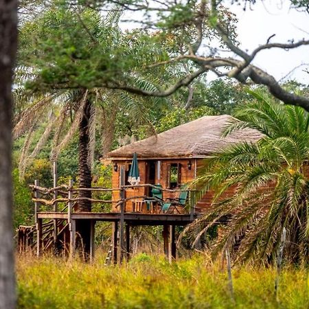 Mansa Musso Lodge Sanyang Extérieur photo
